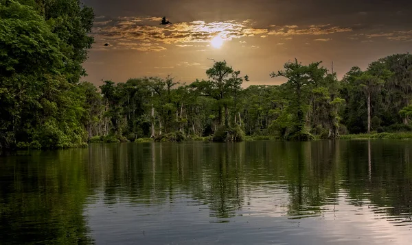 Kvällshimlen Över Wakulla Springs State Park Tallahassee Florida — Stockfoto