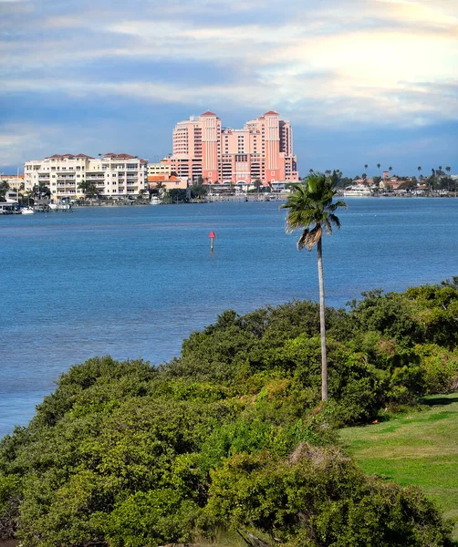 Clearwater Beach Mit Palmen Und Resorthotels — Stockfoto