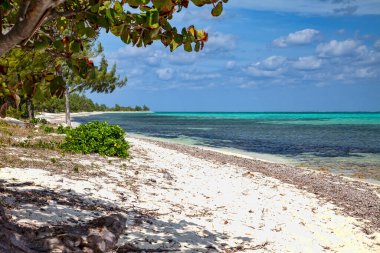 Karayip Denizi ve Büyük Cayman Adaları 'ndaki beyaz kumlu plajlar.