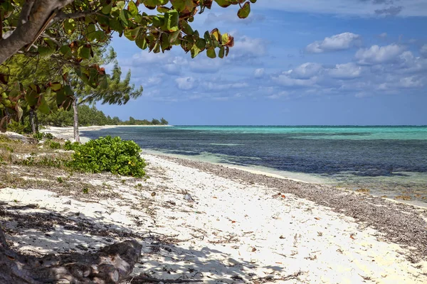 カリブ海とケイマン諸島の白い砂浜 ケイマン諸島 — ストック写真