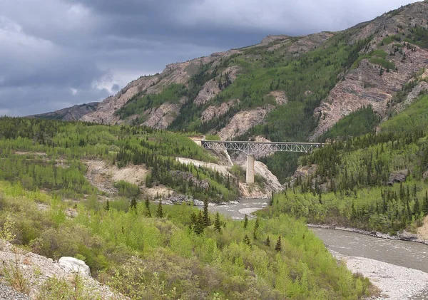 Denali Eyalet Parkı Alaska Nehir Boyunca Uzanan Köprü — Stok fotoğraf