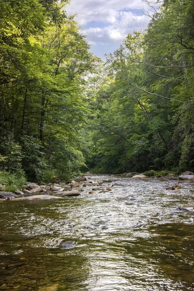 Flytande Duva Floden Berget Västra North Carolina — Stockfoto