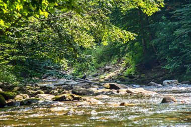 Batı Kuzey Carolina dağında akan güvercin nehri..
