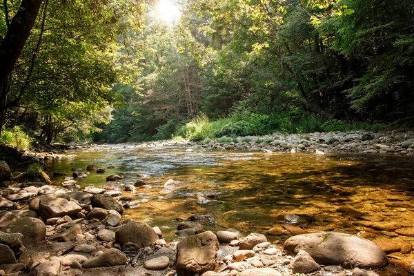 Sun Beaming Trees Pigeon River Western North Carolina — Stock Photo, Image