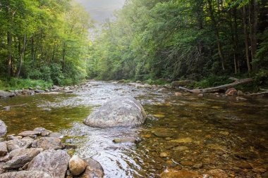 Kuzey Carolina 'daki güvercin nehrinin manzarasına güneş doğuyor.