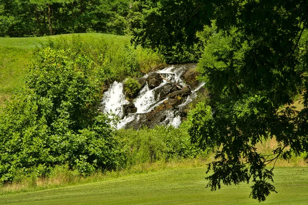 Cachoeira Fluindo Com Folhagem Verde Exuberante Carolina Norte — Fotografia de Stock