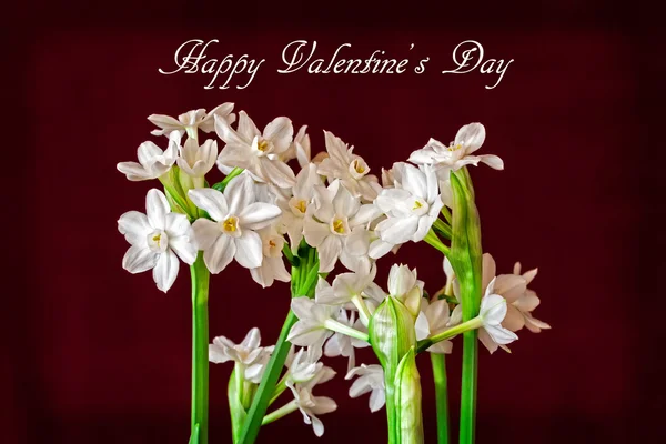 Valentine's Day Card — Stock Photo, Image