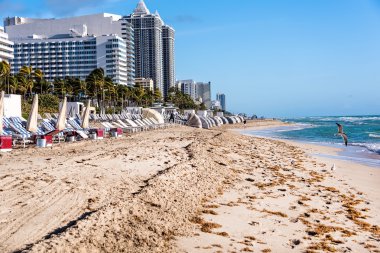 Miami Beach, Florida