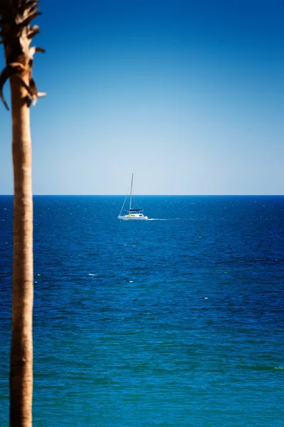 Barca a vela sul mare di Cortez — Foto Stock