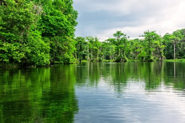 Park stanowy Wakulla Springs — Zdjęcie stockowe