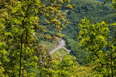 Doğal Blue Ridge Parkway