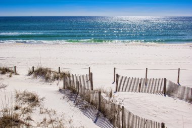bir Panama city beach