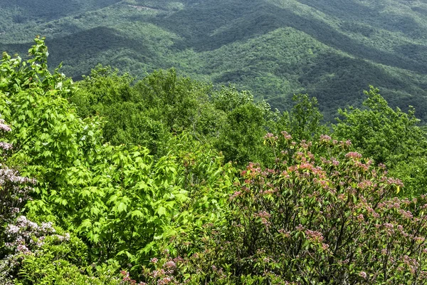 View of the Blue Ridge Mountains — Stock Photo, Image