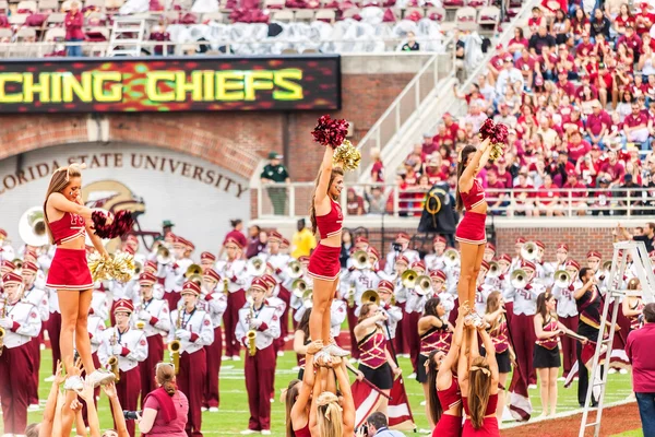 Florida State University Cheerleaders — Stock Photo, Image