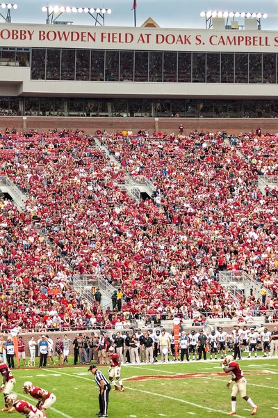 Florida staatliche universität fußball — Stockfoto