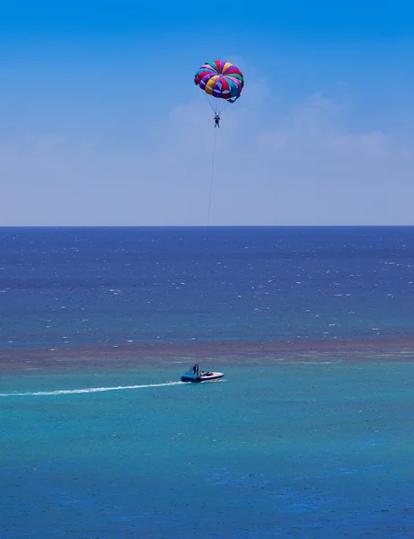 Parapente en Jamaïque — Photo