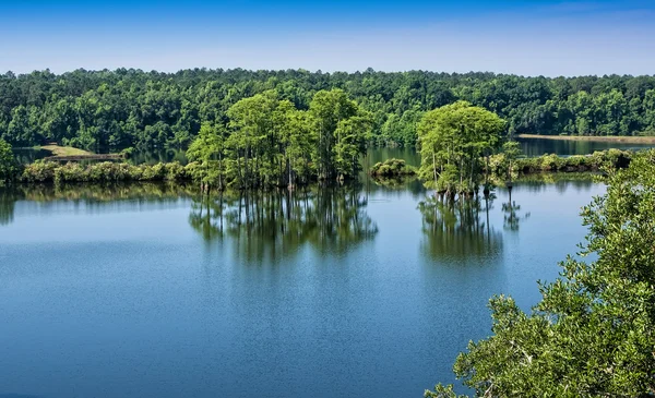 Lago di Piney Z — Foto Stock