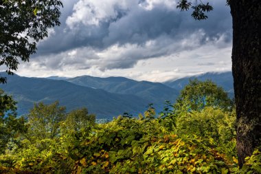 Blue ridge Dağları