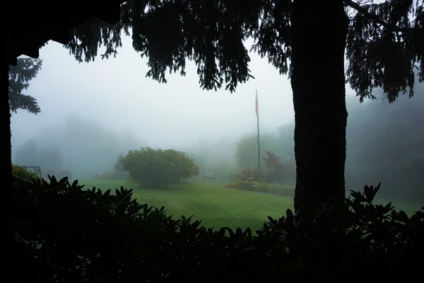 Foggy landskap i bergen — Stockfoto