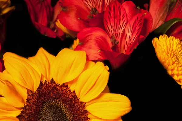 Buquê de flores — Fotografia de Stock