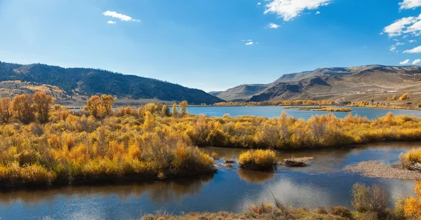 Осінь в Колорадо — стокове фото