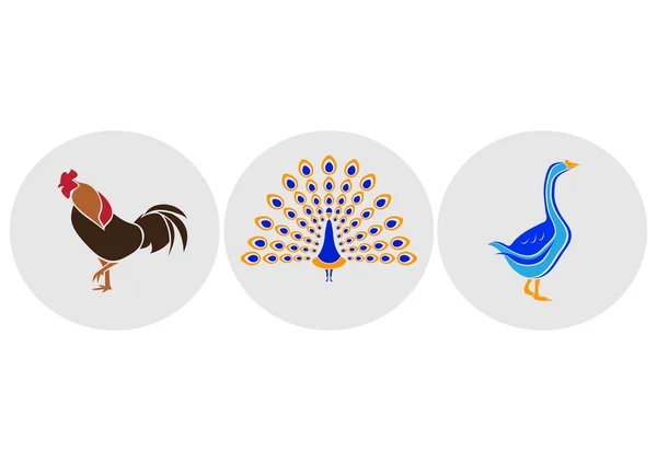 Το λογότυπο πουλερικών — Διανυσματικό Αρχείο