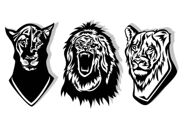 Silhouette Three Lion Heads — Stock Vector