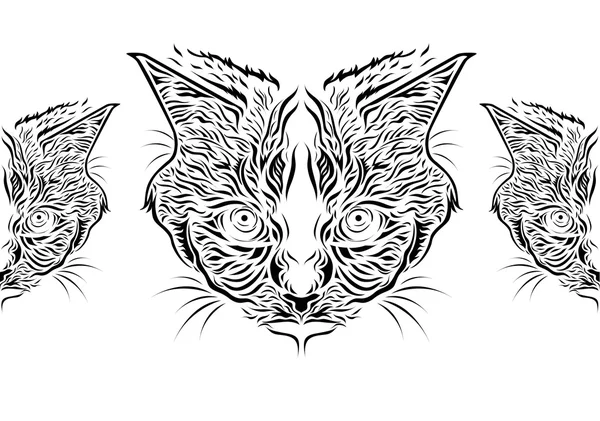 สายแมว — ภาพเวกเตอร์สต็อก