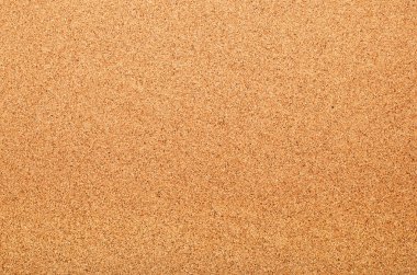 Kahverengi dokulu mantar pano