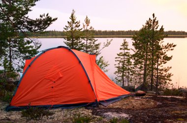 Orman kampında turist çadırı