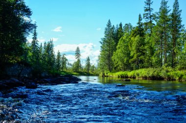 İle hızlı nehir manzara, çam yeşil orman ve mavi gökyüzü