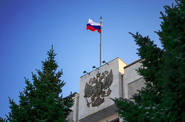 Σημαία της Ρωσίας Εικόνα Αρχείου