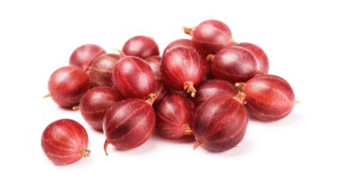 Kırmızı bektaşi