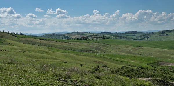 Panorama del paisaje toscano en Val dOrcia, Italia — Foto de Stock