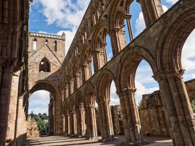 Jedburgh abbey, İskoçya