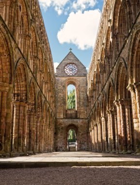 Jedburgh abbey, İskoçya
