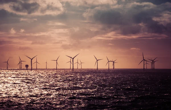 Windturbines in de Noordzee Rechtenvrije Stockafbeeldingen