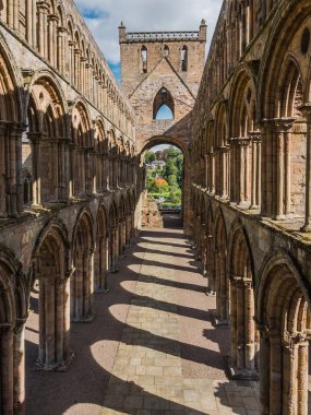 Jedburgh abbey, İskoçya