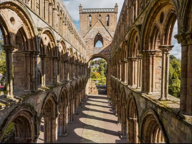 Jedburgh abbey, İskoçya