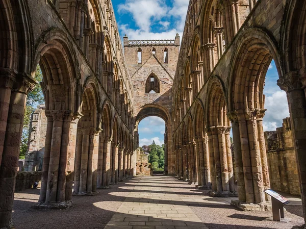 Jedburgh Abbey, Skotland - Stock-foto