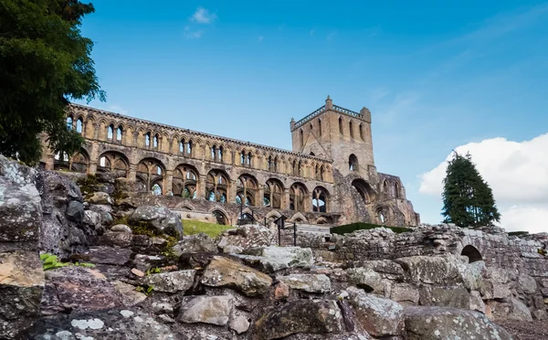 Jedburgh abbey, Skottland — Stockfoto