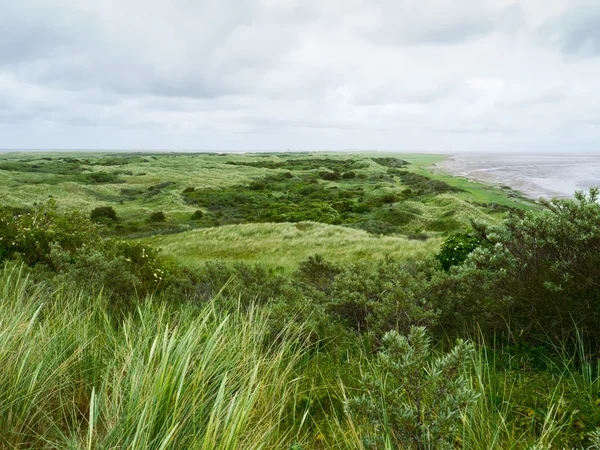 Дюны на острове Амеланд — стоковое фото