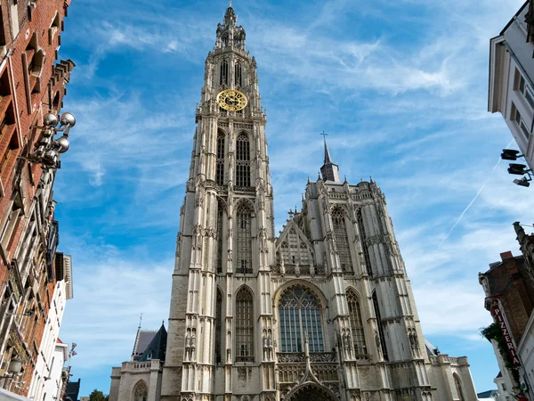 Kathedraal Antwerpen — Stockfoto