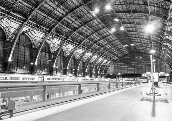 Gare centrale d'Anvers — Photo