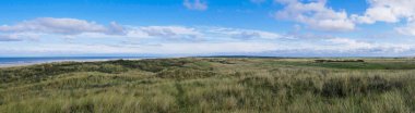 Hollanda, Ameland 'ın kum tepelerini ve sulak arazilerini görün.
