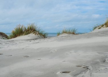 Hollanda, Ameland 'ın kumullarına bakın.