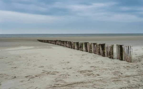 Wooden breakwater along the Dutch coast of Ameland — Stock Photo, Image