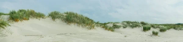 네덜란드, 애들 랜드의 모래 언덕 위로 펼쳐진 전경 — 스톡 사진