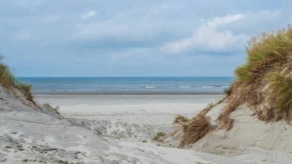 Pohled na duny Amelandu, Holandsko — Stock fotografie