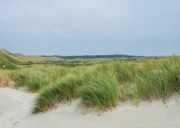 Pohled na duny Amelandu, Holandsko — Stock fotografie